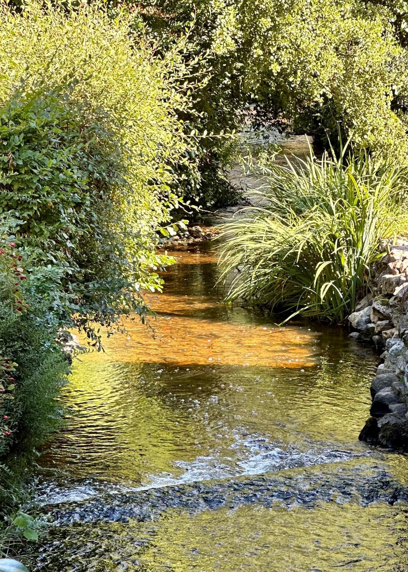 Gite Du Moulin Toucan Berneuil  Екстериор снимка